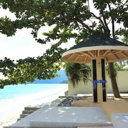 Plage, yoga sur la plage