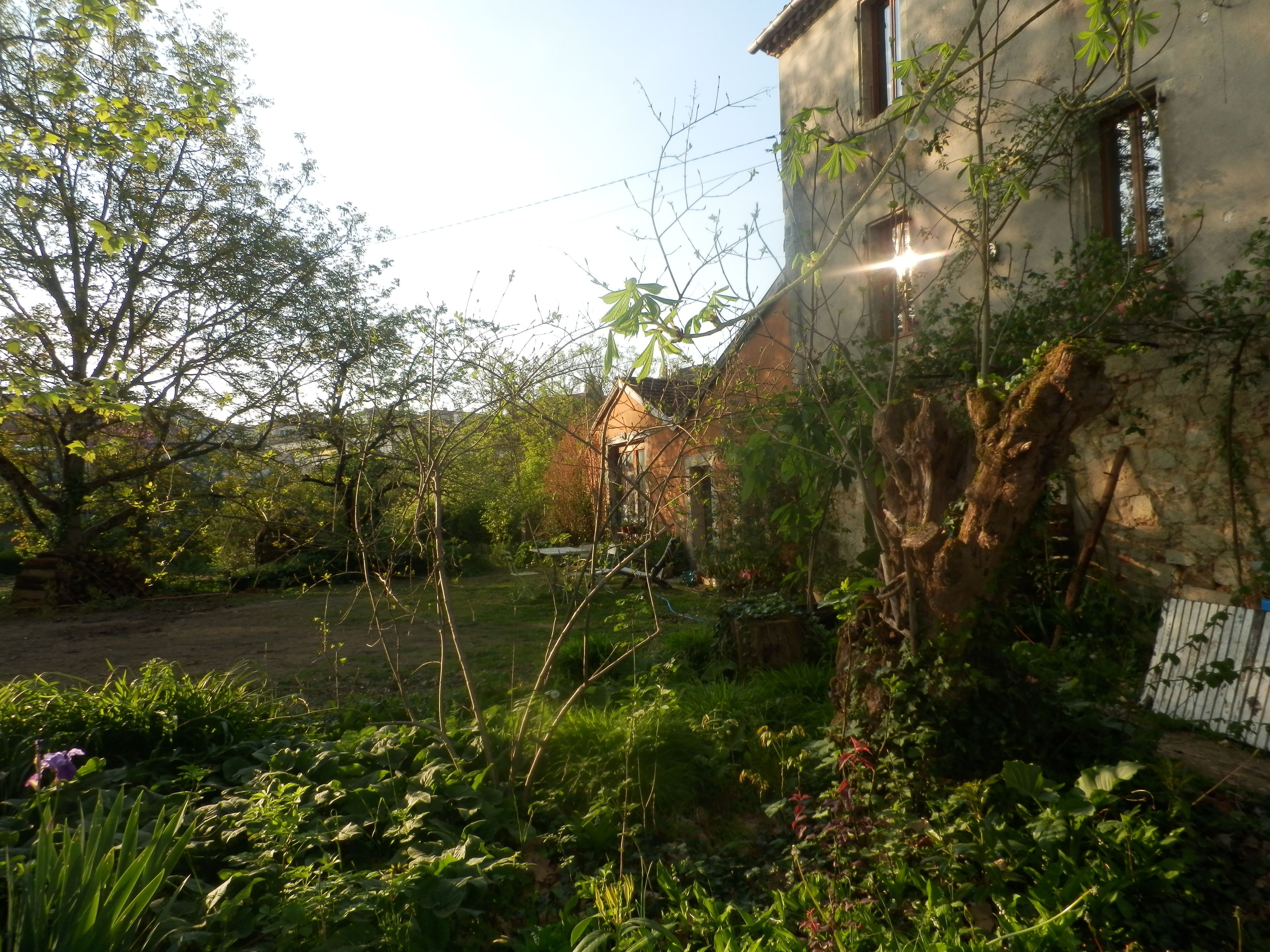 A rustic building with a stone exterior, surrounded by lush greenery and trees.