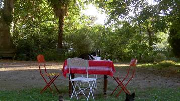 Un montaje para picnic con una mesa y sillas en un área cubierta de césped, rodeado de árboles.