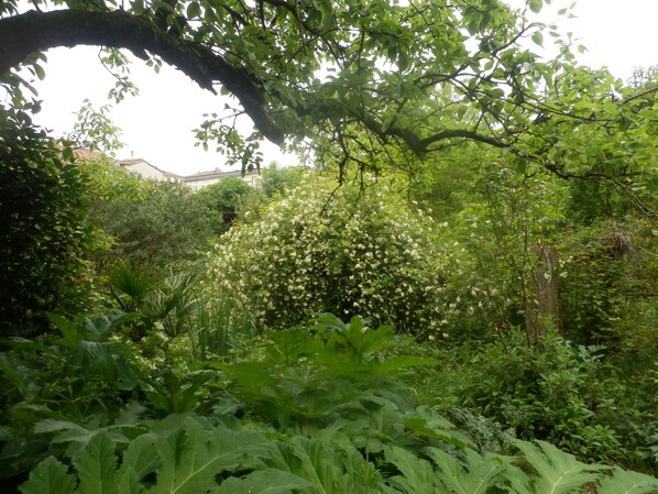 Garden - Le Moulin des Marionnettes (Vic-Fezensac)