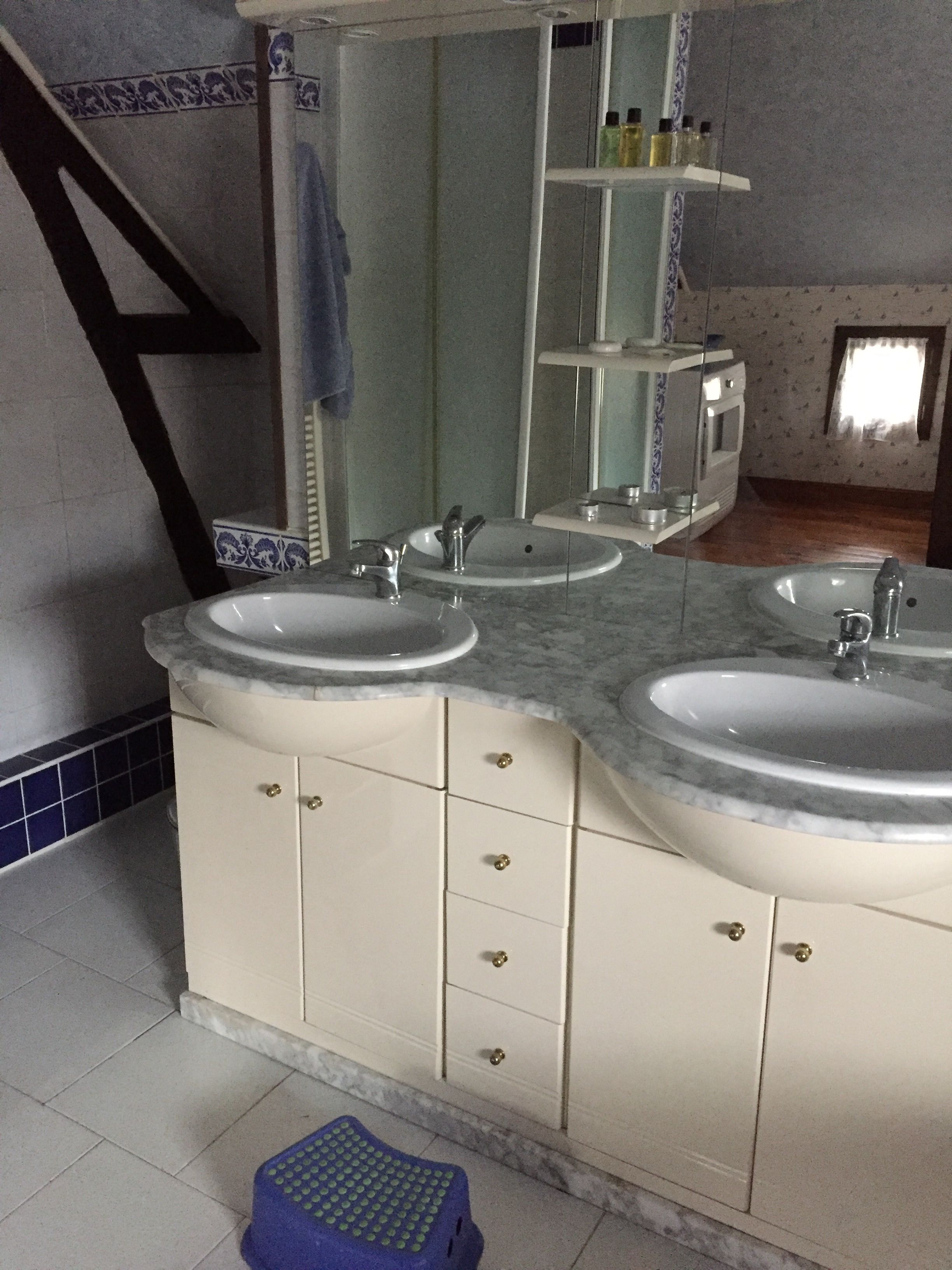 A bathroom with two sinks, a mirror, and a shower.
