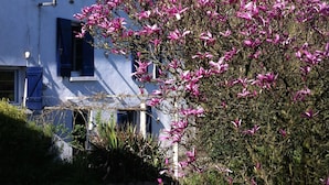 Un bâtiment blanc avec des volets bleus et une cheminée, entouré d’un jardin où poussent des plantes à fleurs roses.