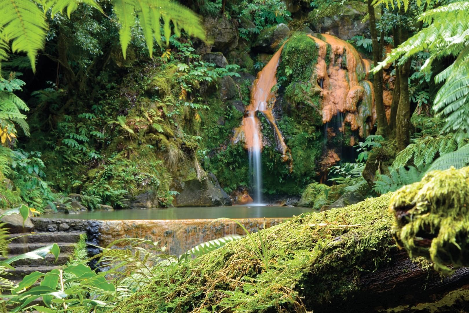 Une forêt luxuriante et verdoyante, avec une cascade et un étang.
