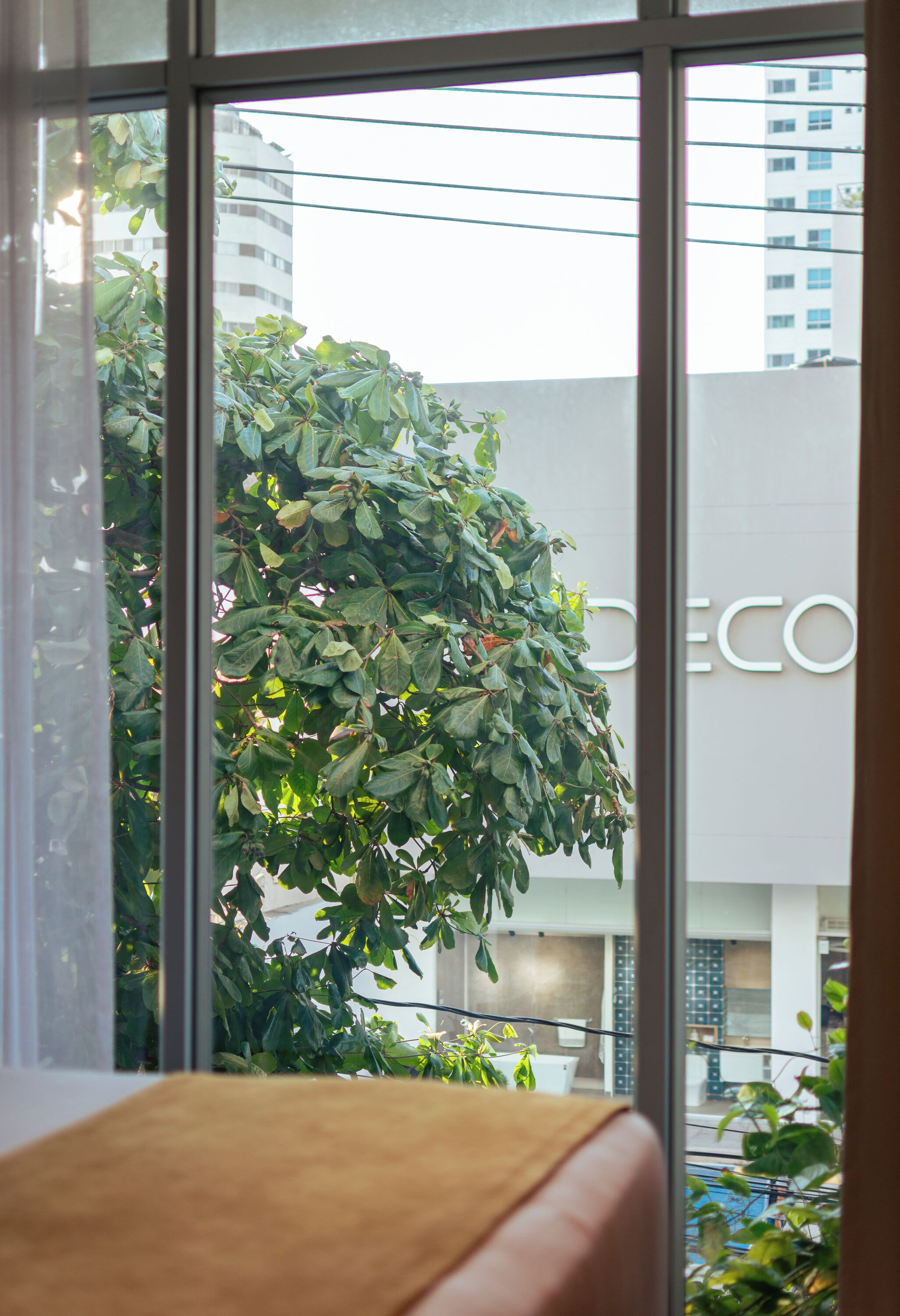 A view through a window with a large tree and a building with 'DECO' signage in the background.