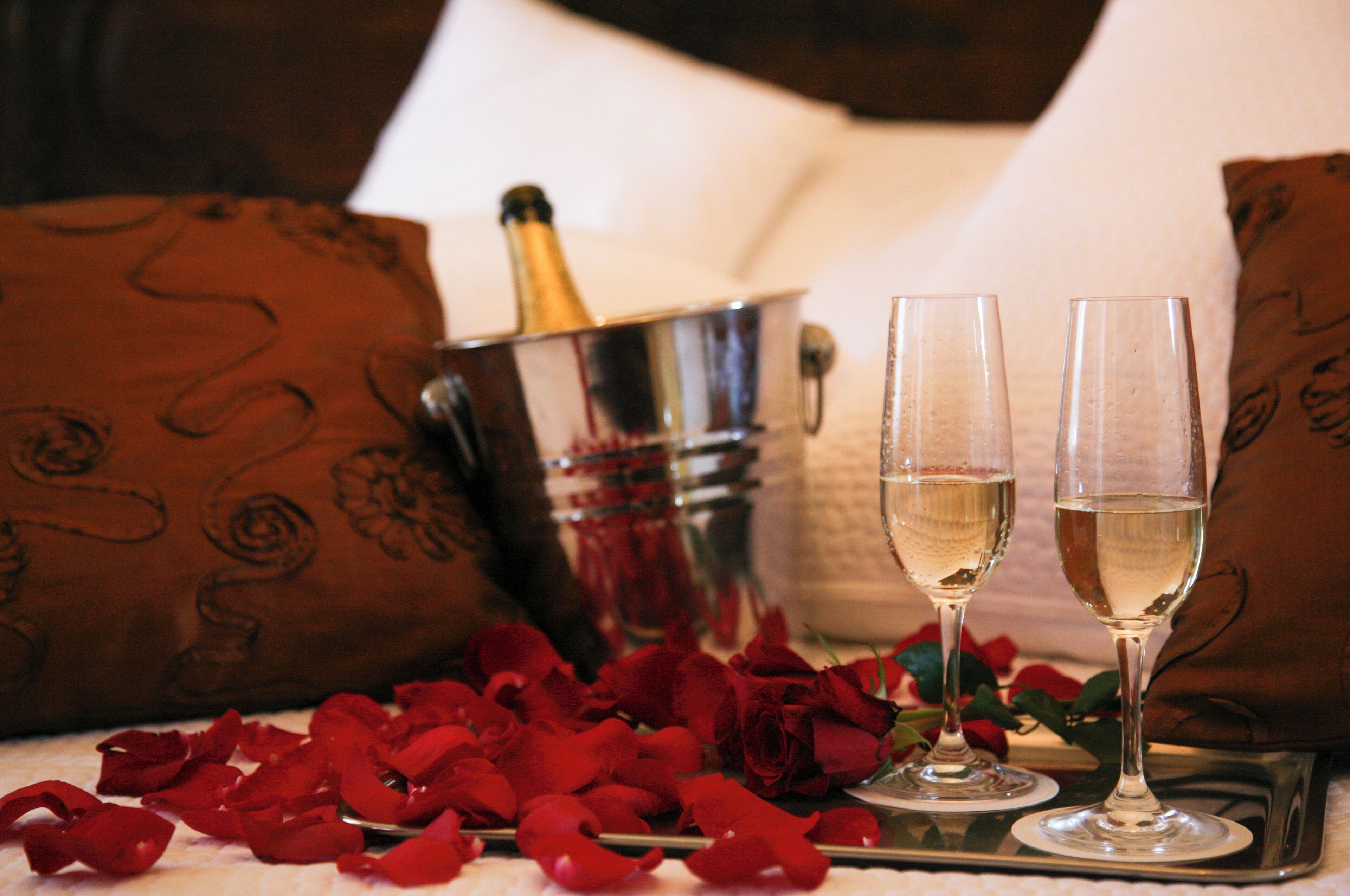 Foto - Casa Manuel Espregueira e Oliveira