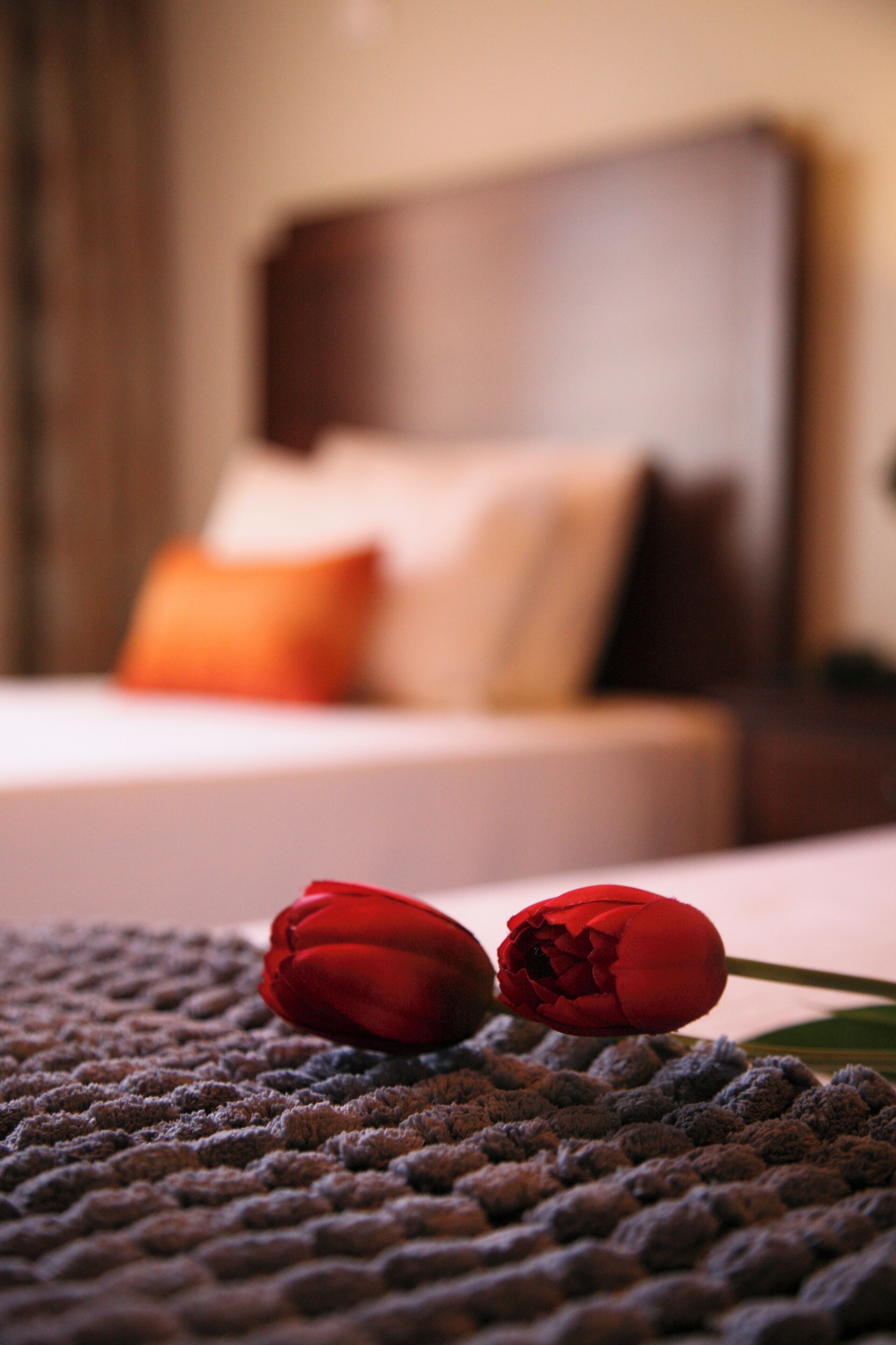 Foto - Casa Manuel Espregueira e Oliveira