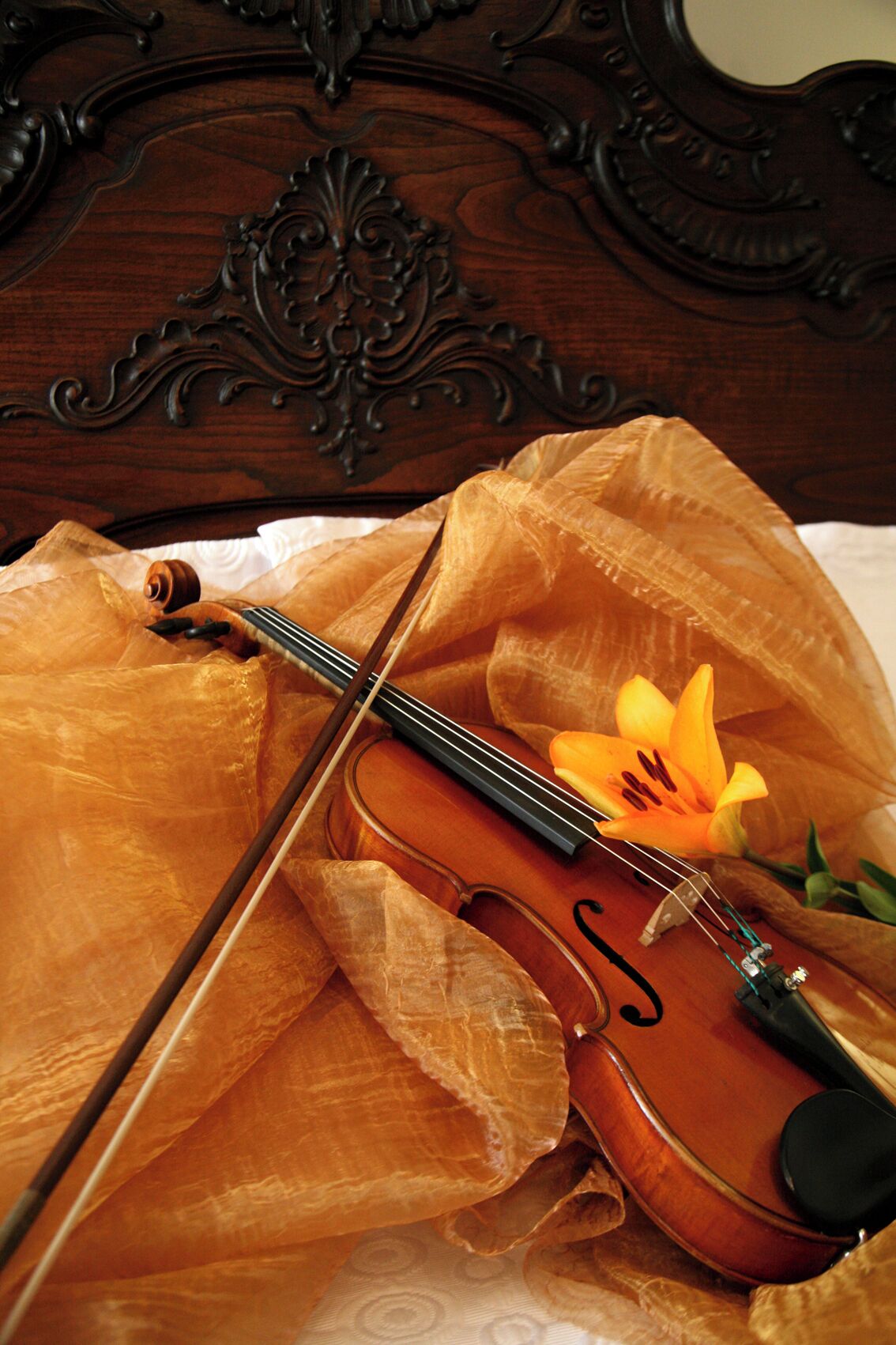 Foto - Casa Manuel Espregueira e Oliveira