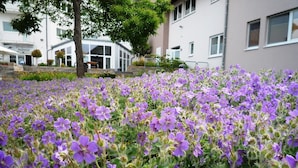 A hotel with a garden full of purple flowers in front. - Hotel Café Nahetal (Gensingen)