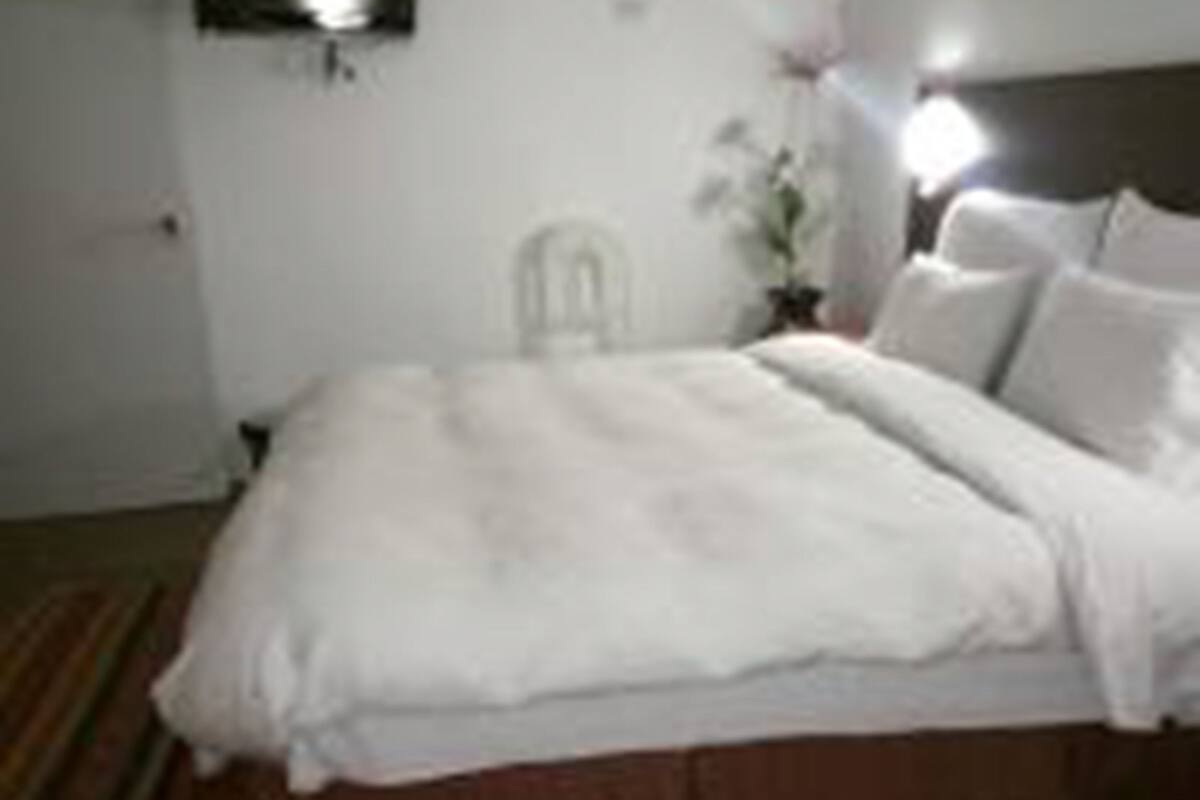 Una habitación de hotel con una cama, una mesita de noche, una lámpara de pared y una planta en maceta.