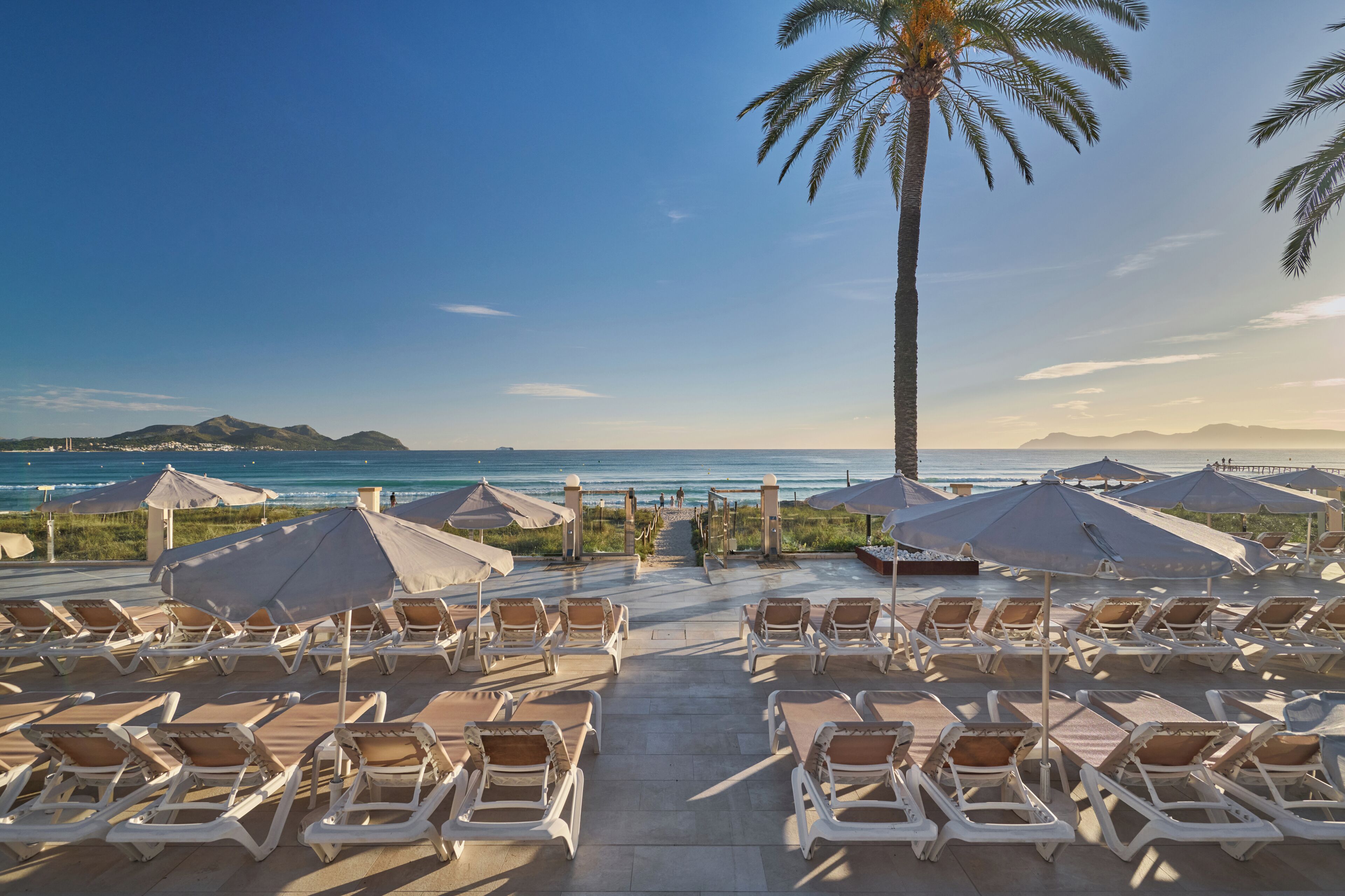 Un complexe hôtelier situé en bord de mer, doté de chaises longues et de parasols, d’un palmier, et offrant une vue sur l’océan et les montagnes lointaines.