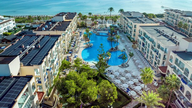 A resort with a large pool surrounded by palm trees and sun loungers, overlooking the ocean. - Grupotel Alcudia Pins (Muro)