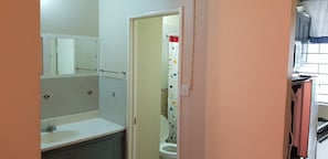 Bathroom features a sink, mirror, and toilet with a shower curtain.