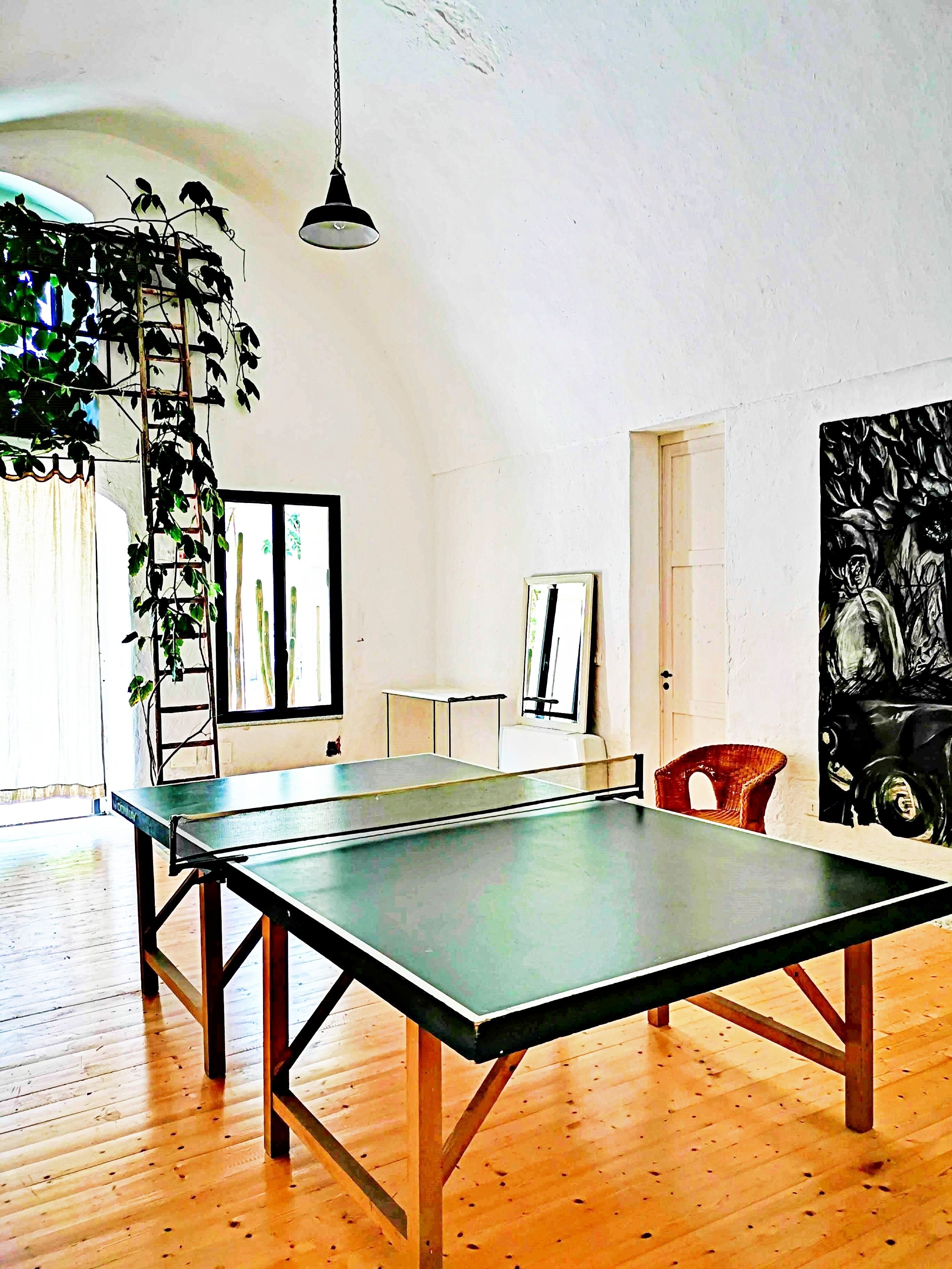 A room with a ping pong table, wooden flooring, a hanging plant, a framed picture, and a painting on the wall.