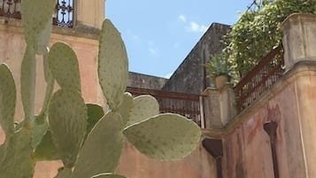 Facciata della struttura