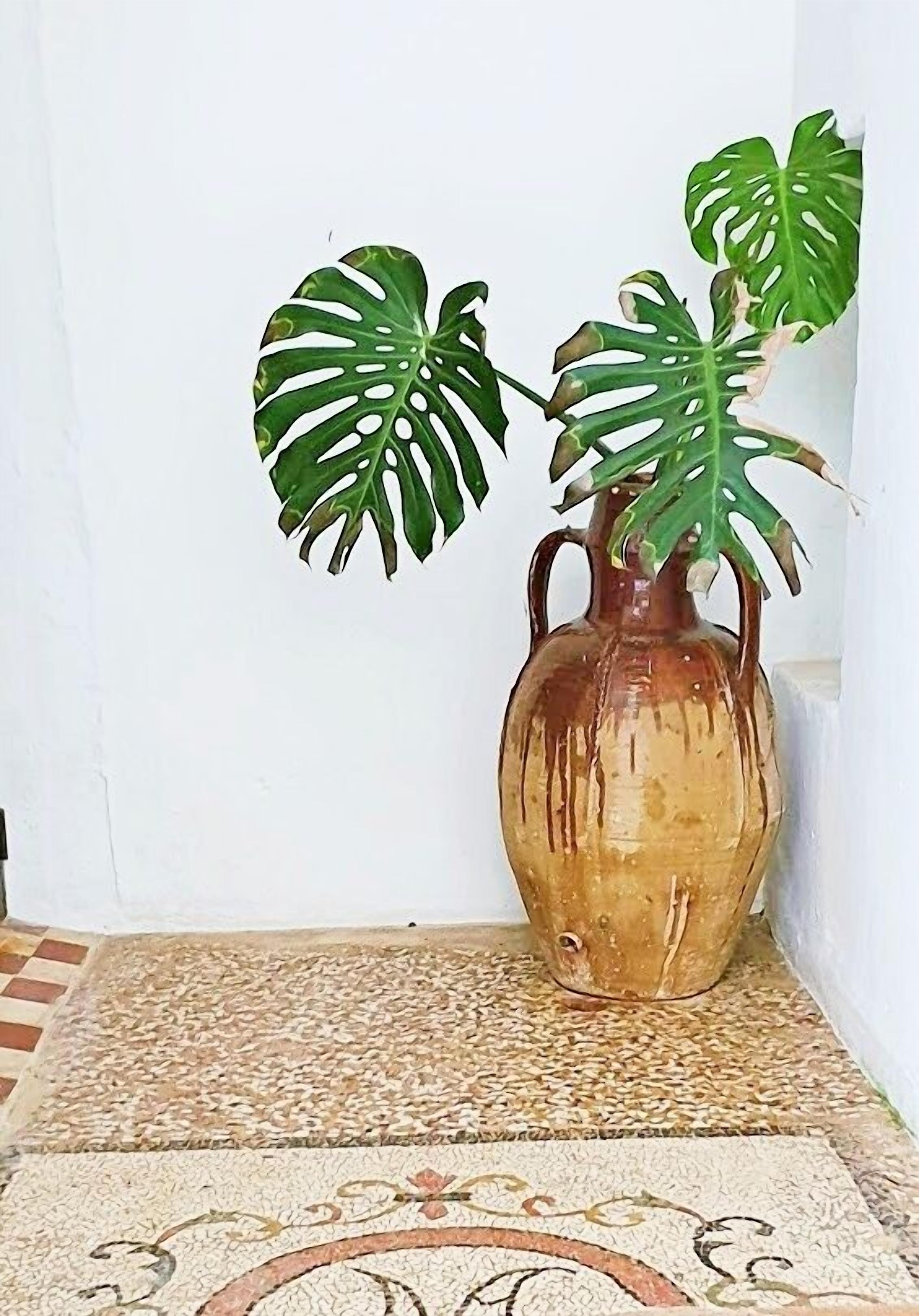 A brown ceramic vase with two large green monstera leaves on a tiled floor.