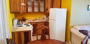 City Apartment, 1 Queen Bed, Non Smoking | Private kitchenette | Full-size fridge, microwave, oven, stovetop - Comfortable Suite 3 (Kingston)