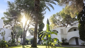 A courtyard with palm trees, a white building with arches, and a clear sky.
