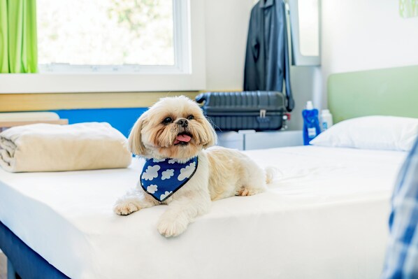 Kostenloses WLAN, Bettwäsche