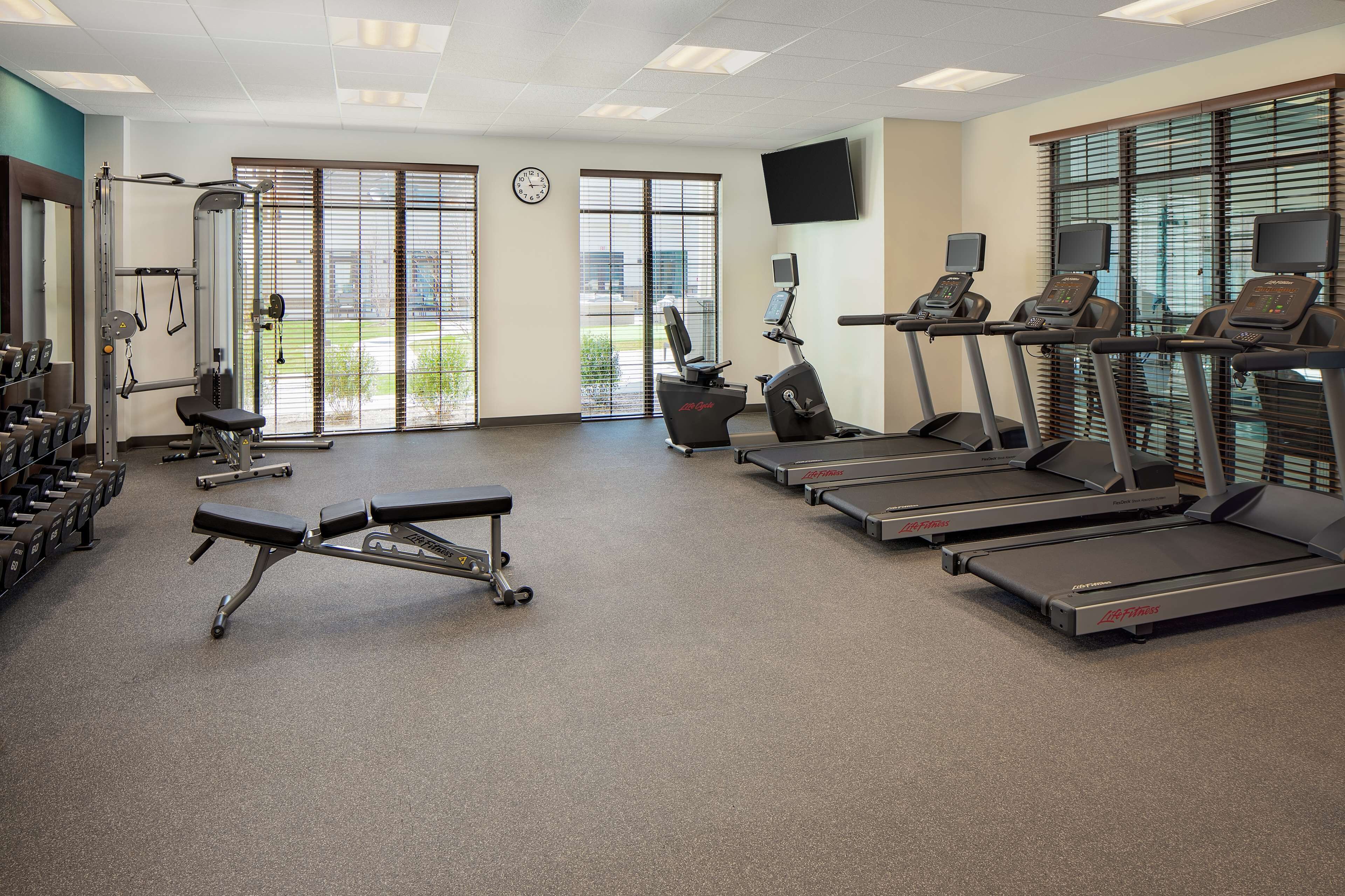 A gym with treadmills, a bench press, and weight machines.