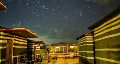 Trips in Wadi Rum