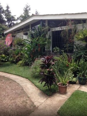 Property grounds - Ataco Luxury Cabin (Concepcion de Ataco)