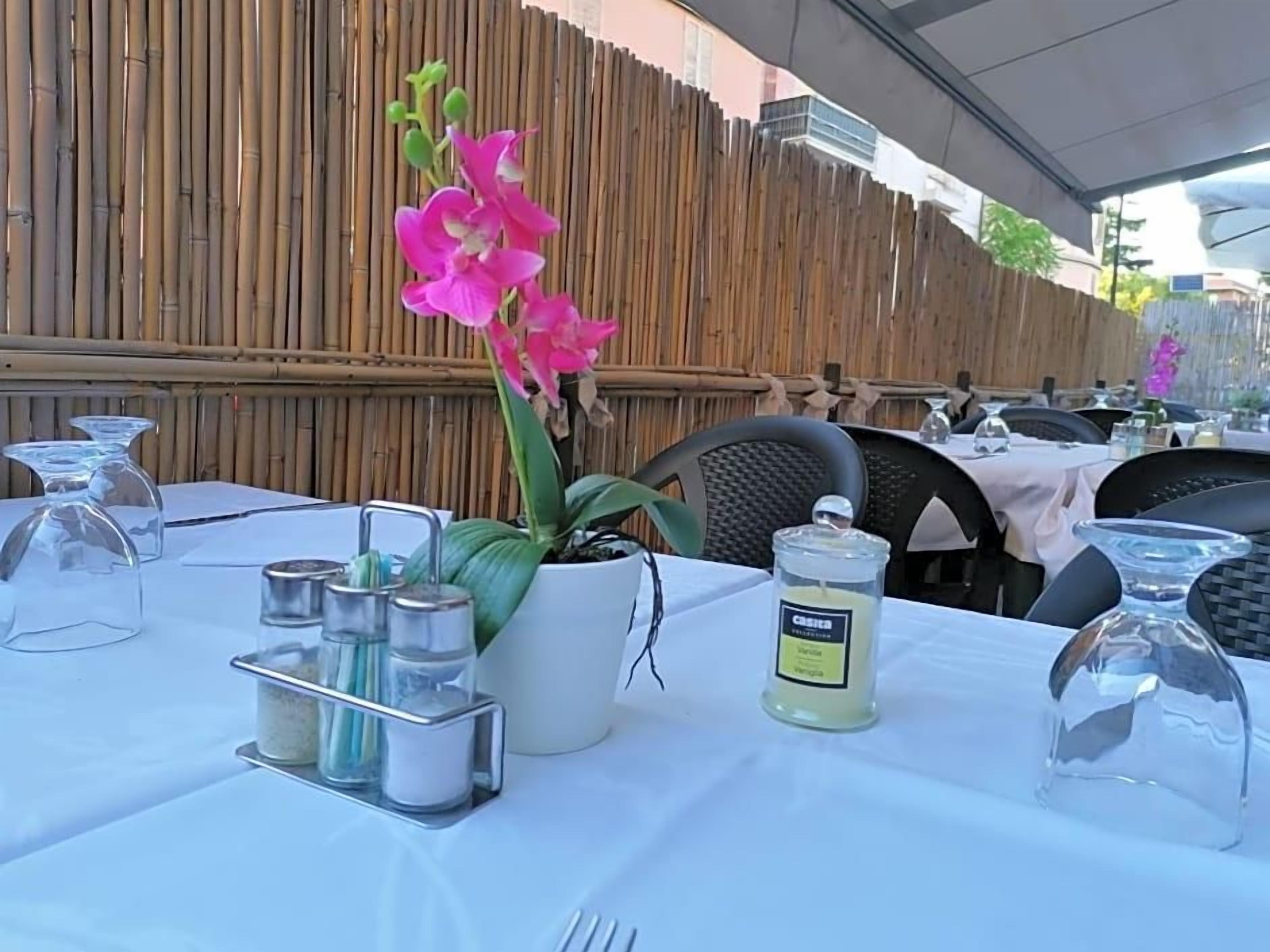 A table set for dining with a potted plant, condiment containers, and a candle.