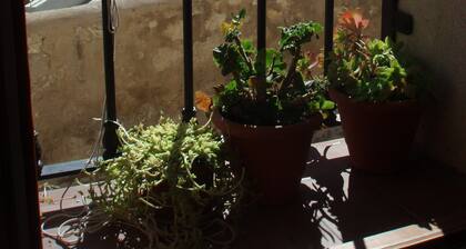 Hostal de la Luz