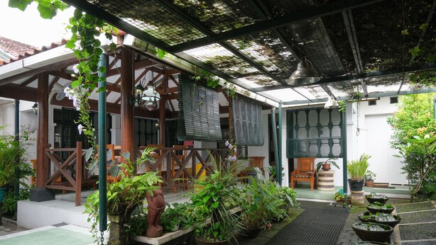 Vườn