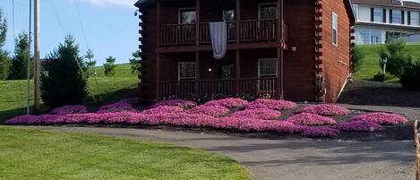 Refrigerador, microondas, cafetera y tetera y tostadora