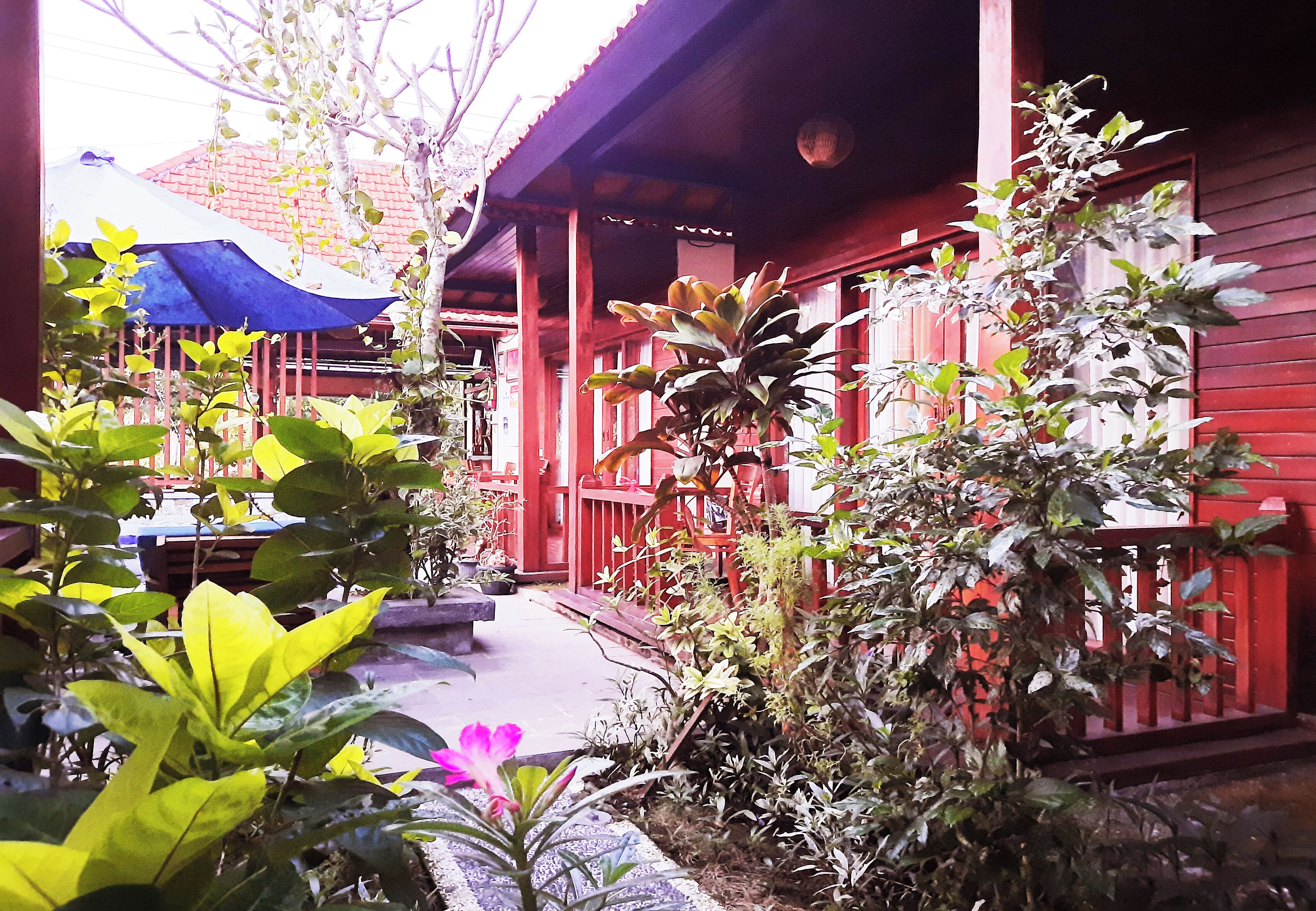 Foto - Wait Garden Cottage