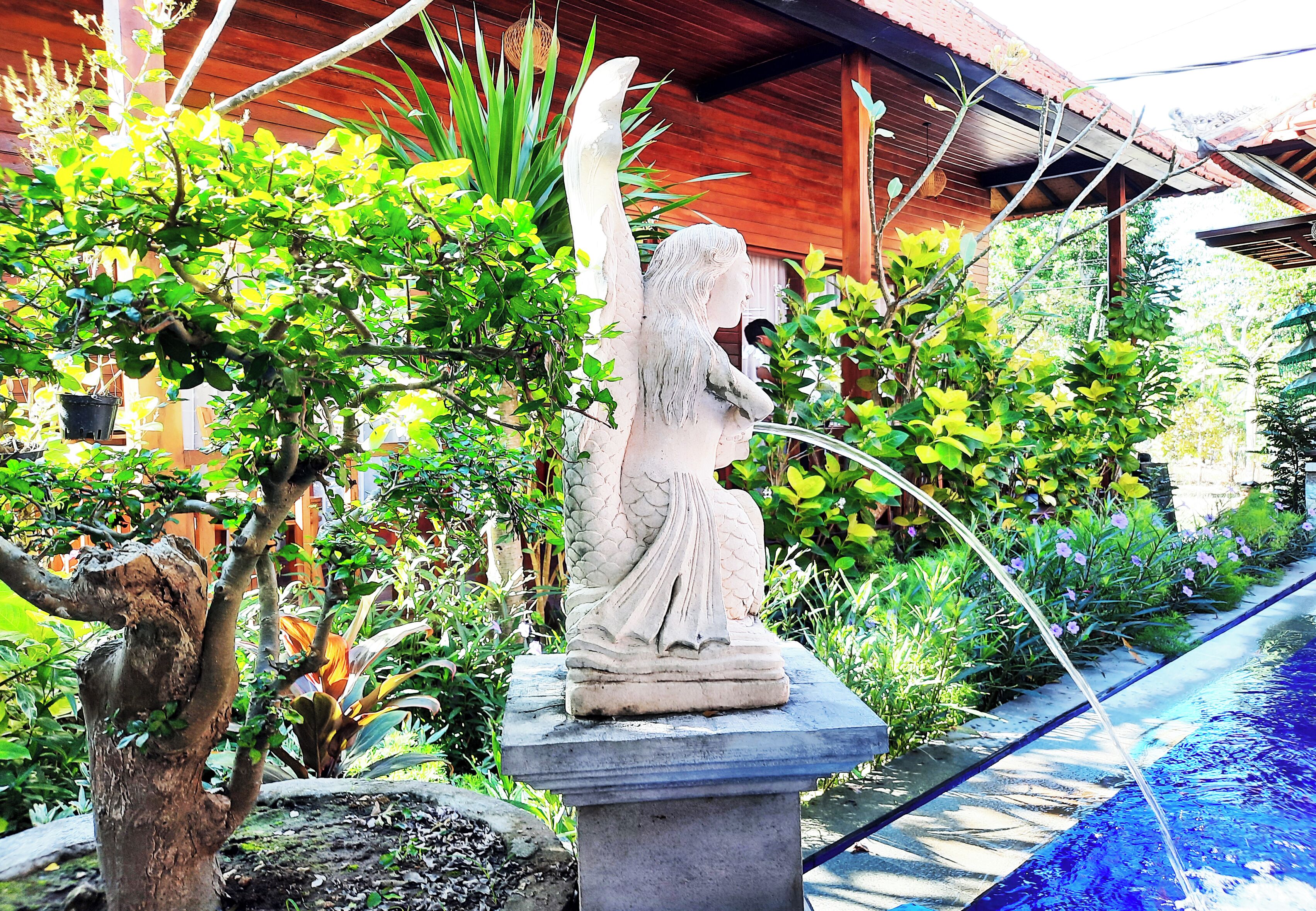 Une statue d’un ange, posée sur un piédestal dans un jardin où l’on trouve diverses plantes, avec une structure en bois en arrière-plan.