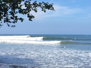 Skrivebord, lydisolert, wi-fi (inkludert) og sengetøy