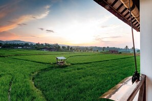 Land view from property - Medewi Surf Villa (Pekutatan)