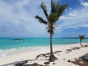 Plage, chaises longues, serviettes de plage