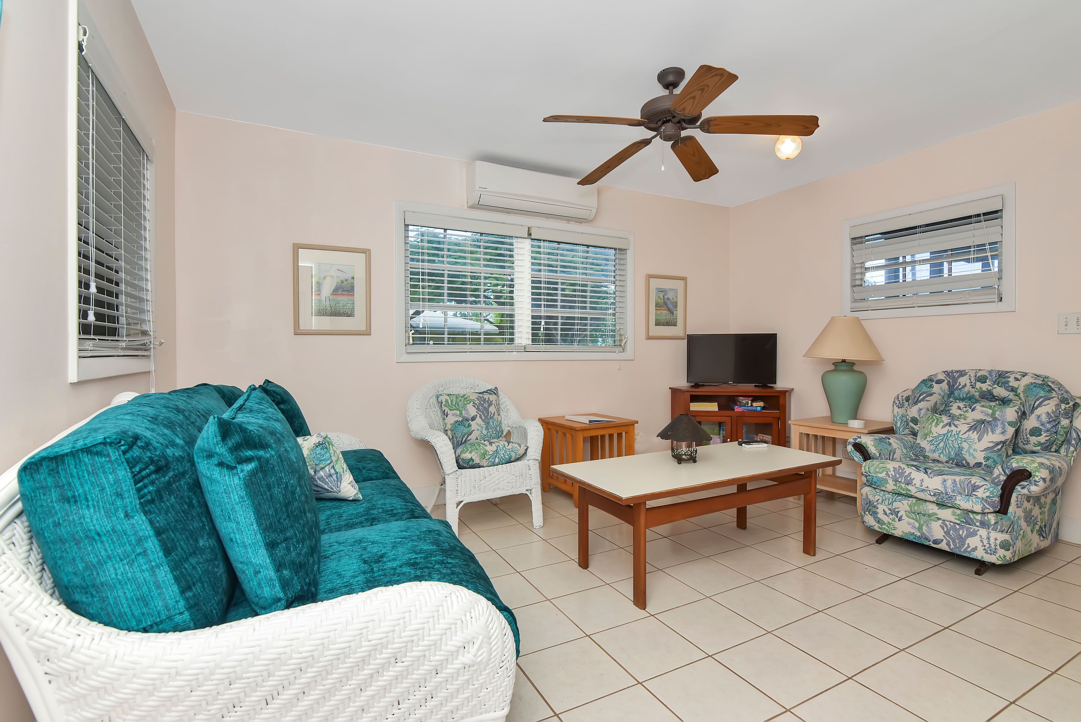 Smart TV, DVD player, books