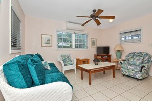 Smart TV, DVD player, books