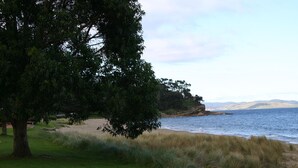 Paisaje costero con un gran árbol en primer plano, una playa arenosa y vistas al mar y colinas distantes.
