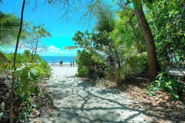 Playa