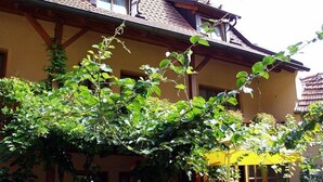 A traditional building with a wooden facade, a yellow awning, and a vine-covered entrance. - Gasthof Hotel Kopf (Riegel am Kaiserstuhl)
