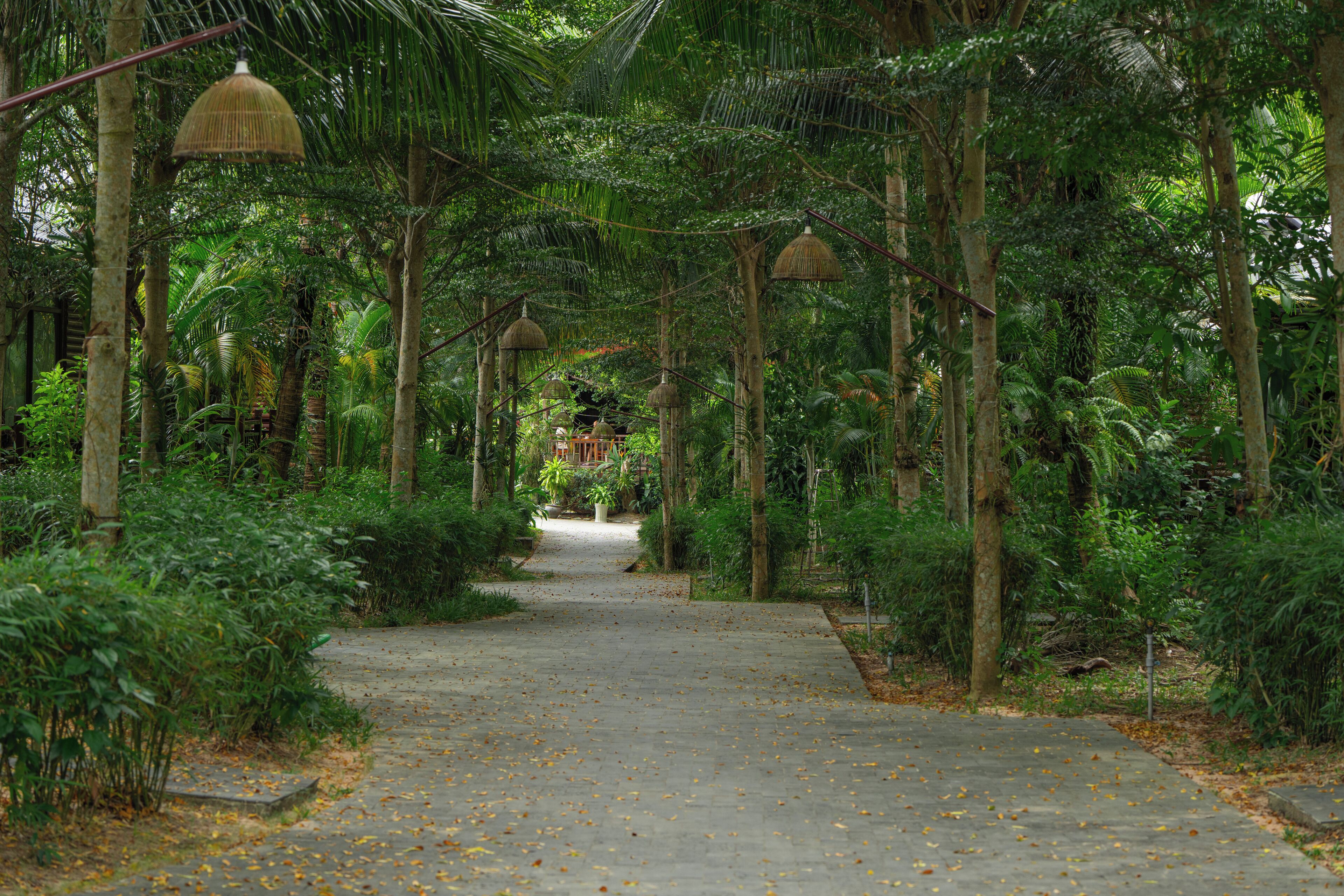A pathway surrounded by lush greenery and trees, leading to a structure in the distance.
