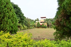 Vista desde la propiedad