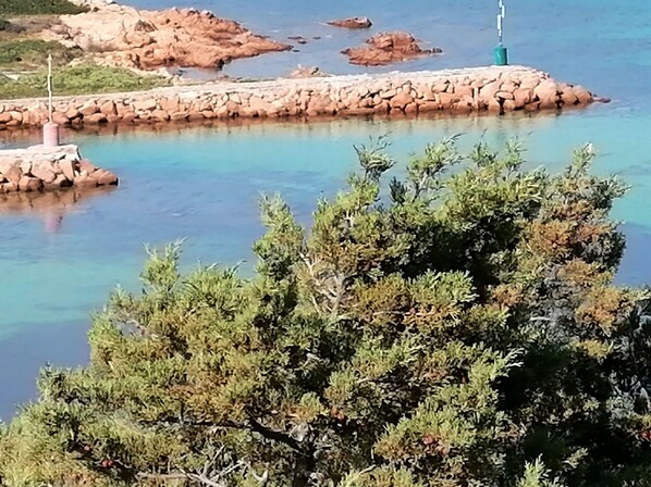 A coastal scene with clear turquoise water, rocky formations, and dense green foliage.