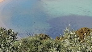 A clear view of a beach with calm water, a sandy shore, and some vegetation in the foreground. - Aria di Vacanza - Corallina (Loiri Porto San Paolo)