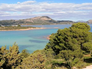 A coastal landscape with clear turquoise waters, a sandy beach, and dense green trees.