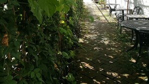 Eksteriør