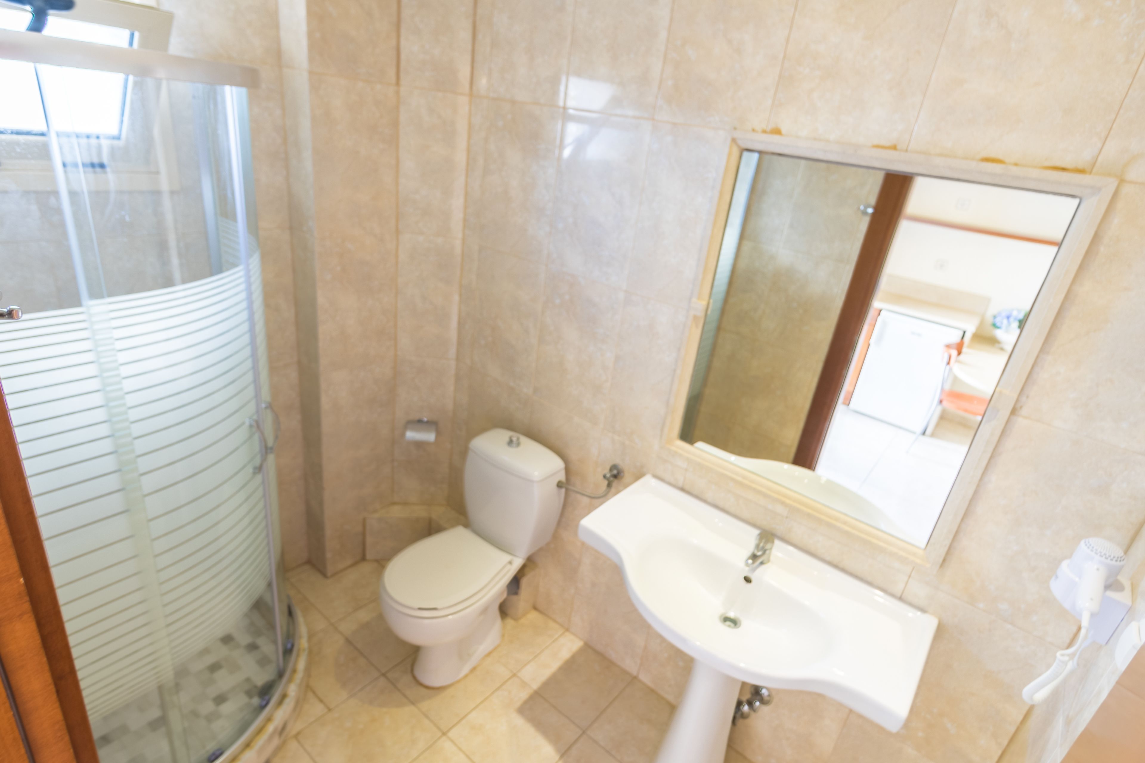 A bathroom with a glass-enclosed shower, a toilet, and a sink with a mirror above it.