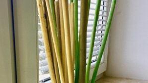 Un vase en verre contenant des tiges vertes et beiges, posé sur un sol en marbre près d’une fenêtre munie de stores.