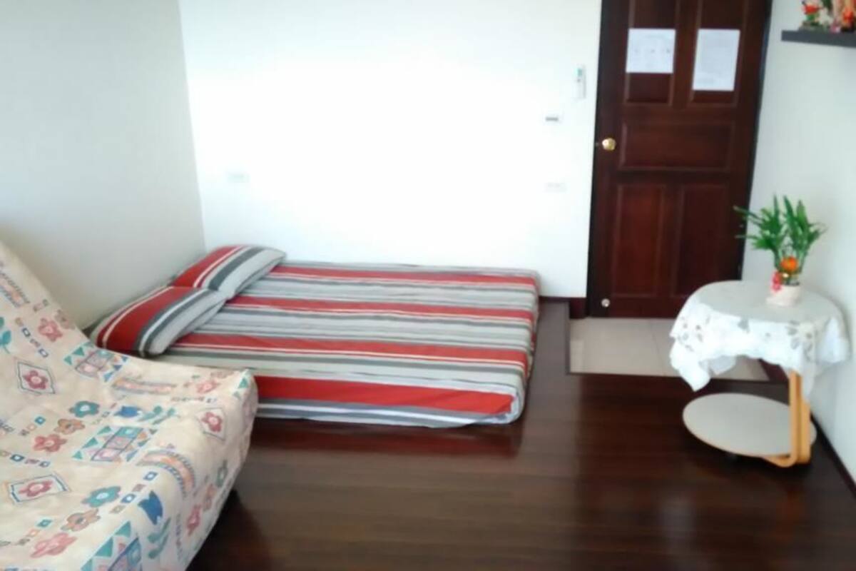 A room with a bed, a small table with a plant, a TV, and a fan.