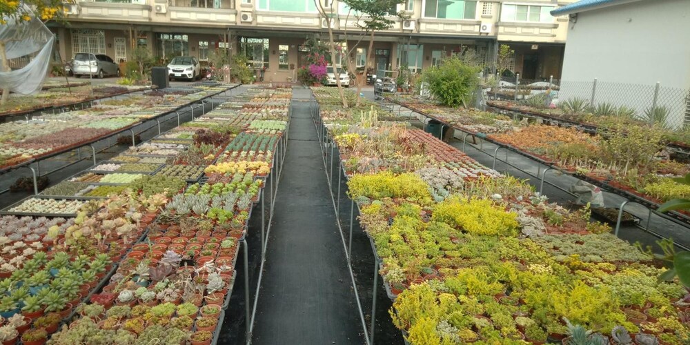 彰化民宿-美女陳的家民宿