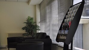 Ein modernes Interieur mit einem schwarzen Sofa, einem kleinen Tisch und einem Topf mit Pflanze.